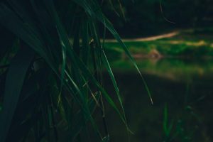 photo 1702907155366 31d6c26a3938cropentropycstinysrgbfitmaxfmjpgixidM3wxNDA1NTd8MHwxfHNlYXJjaHwxMjR8fHBsYXN0aWMlMjBjb3ZlcnN8ZW58MXwwfHx8MTcwOTIzNTE1M3wwixlibrb 4.0.3q80w1080